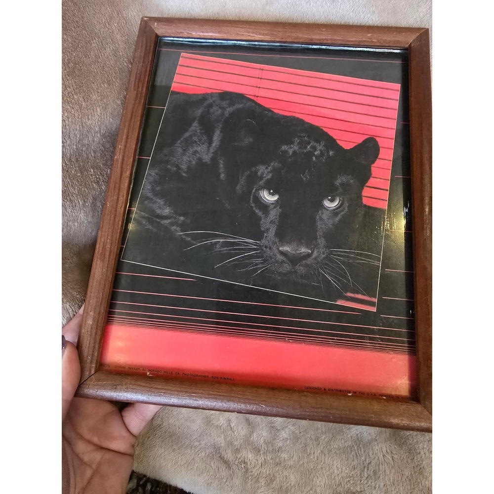 Vintage 1990 Ron Kimball Black Panther Framed Art Print Impact Red Black 90s